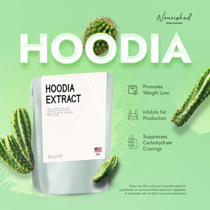 Hoodia Extract